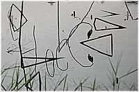 Raw00321A.jpg
