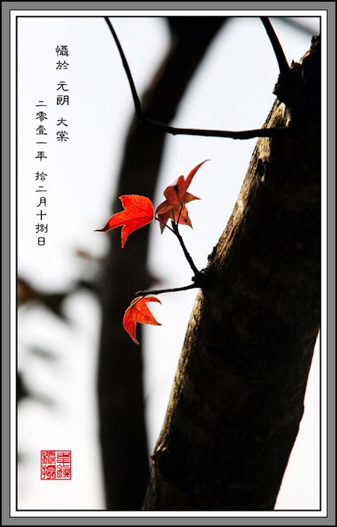 IMG_9356AB.jpg